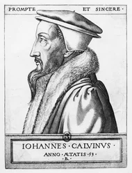 Porträt von John Calvin im Alter von 53 Jahren, 1564